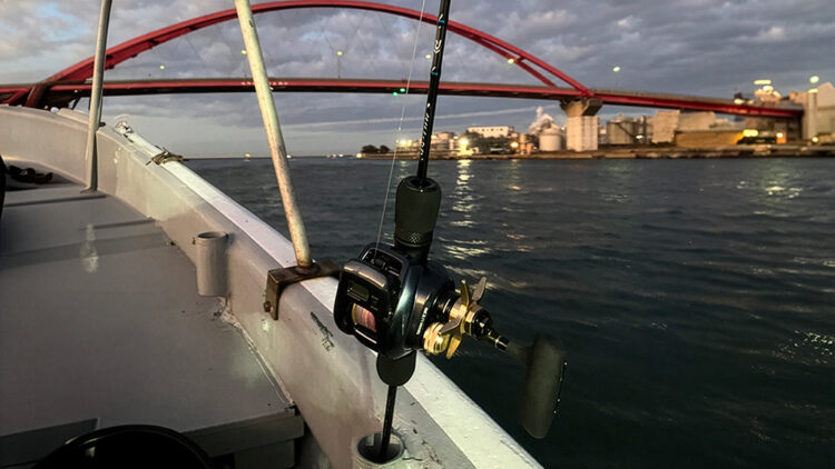 出航直後の和歌山港の様子