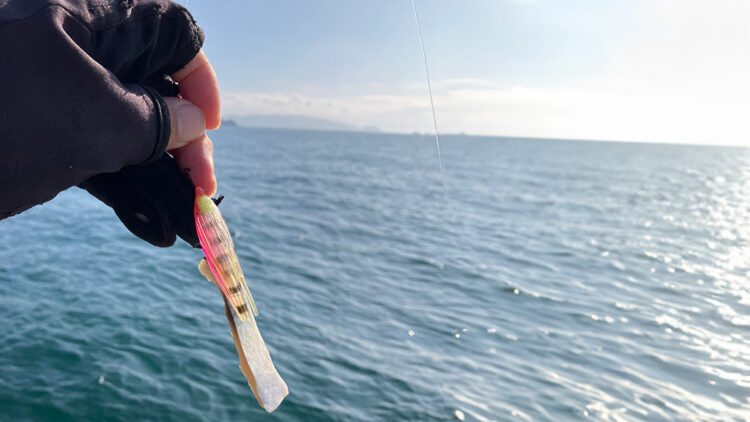 クログチ狙いのポイントとクログチ仕掛け