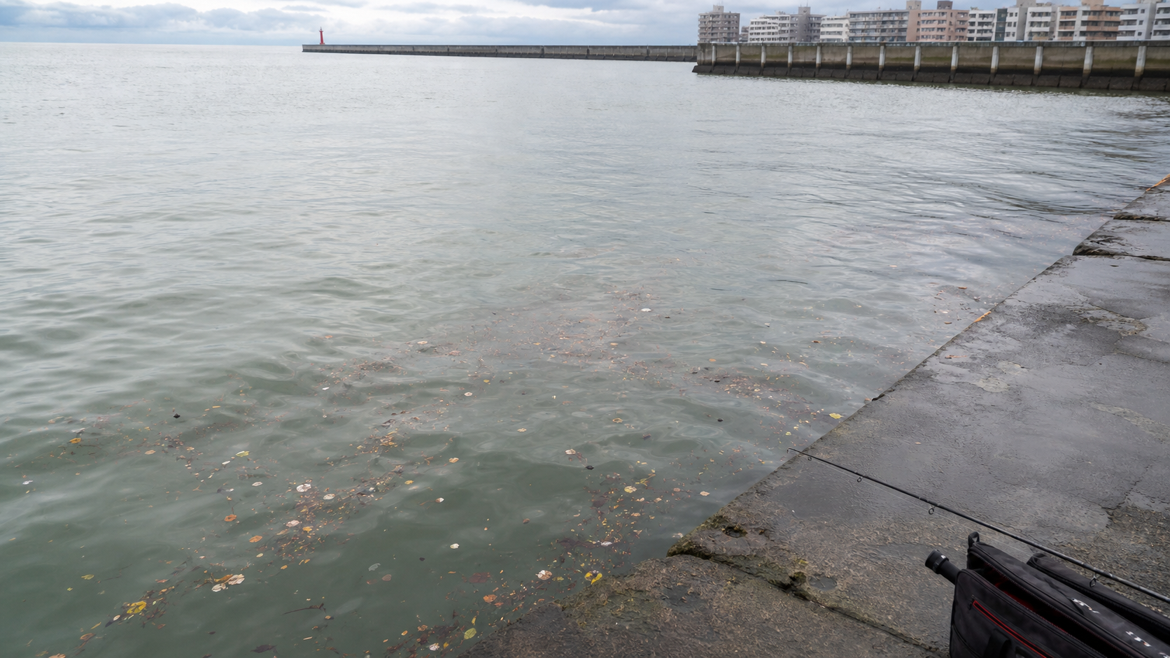 雨の翌日に波止で水色と表層のゴミを確認している海釣り場