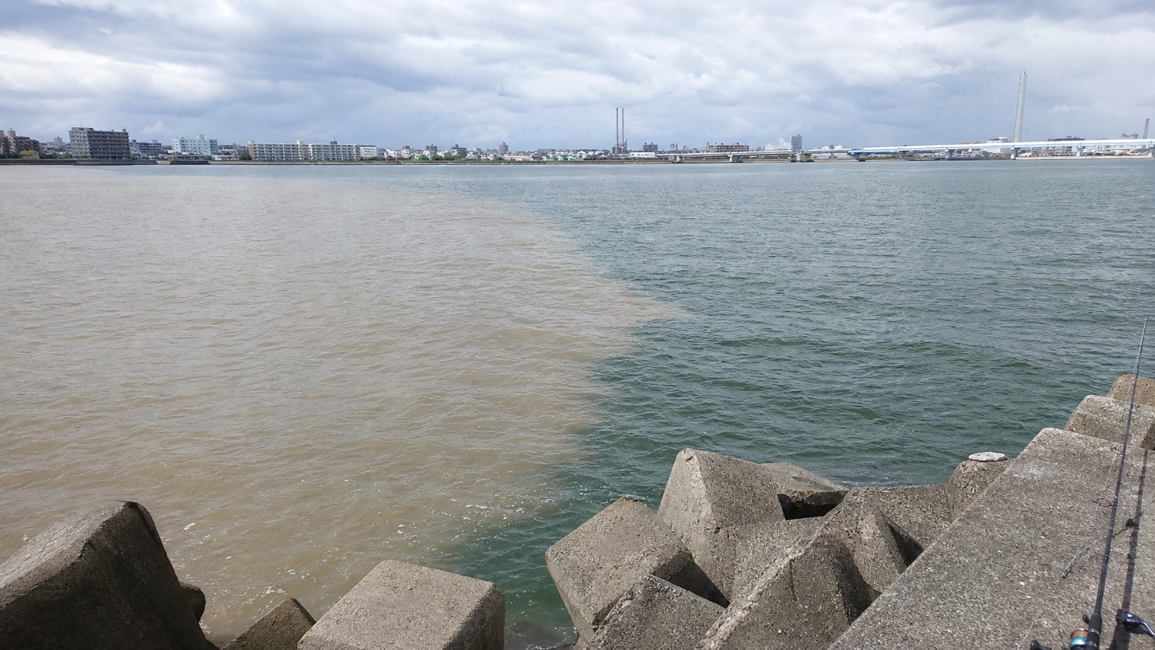 雨後に河川から濁った水が大阪湾沿岸へ流れ込む様子