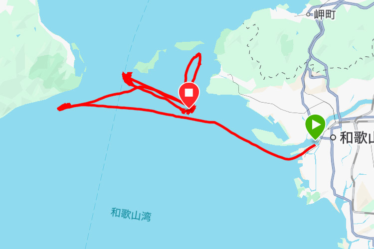 garmin connectの釣りアクティビティの画面キャプチャ