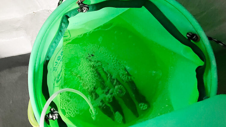 実際のアジバケツの写真（筆者撮影）